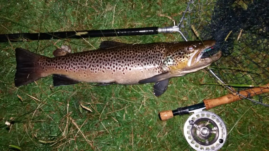Le haut du parcours pourtant magnifique ne donnera pas d’autre poisson… Du moins pour aujourd’hui. Le haut du parcours pourtant magnifique ne donnera pas d’autre poisson… Du moins pour aujourd’hui.